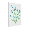 thumbnail image 2 of Trademark Fine Art Kata Botanical Wood forget me not Canvas Wall Art, 2 of 4