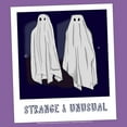 thumbnail image 2 of Girl's Beetlejuice Halloween Strange and Unusual Ghost Photo  Graphic T-Shirt, 2 of 4