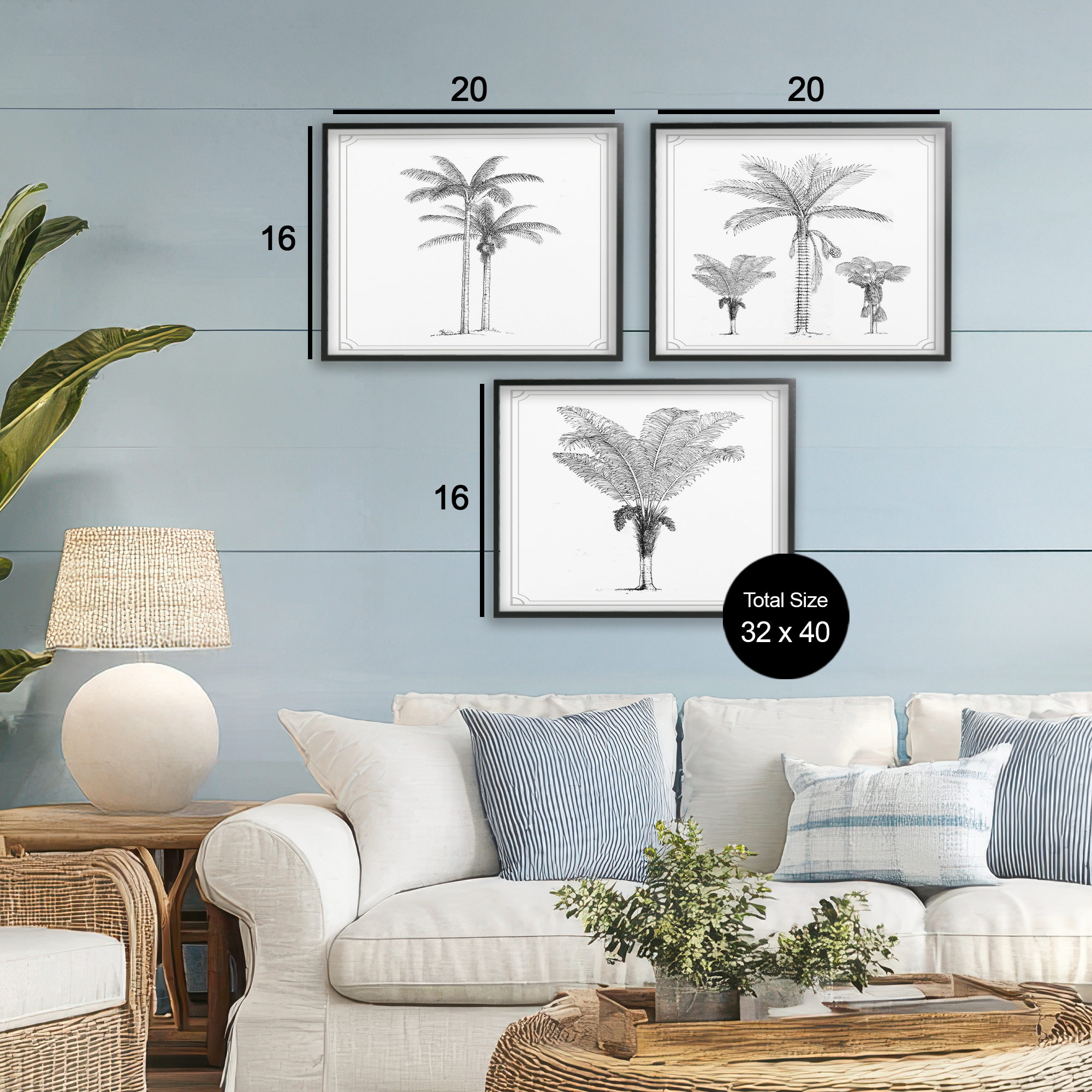 Minimal Vintage Palm Tree Sketches 3 Piece Black Framed Giclee Art Set, design by Lettered and Lined