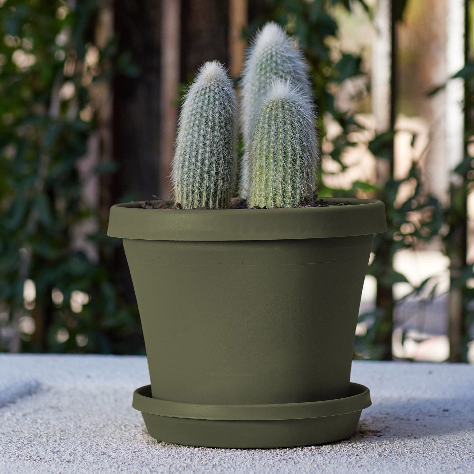 Bloem Terra 12" Diameter Round Living Green Resin Planter Pot with Drainage Holes for Indoor and Outdoor Gardening