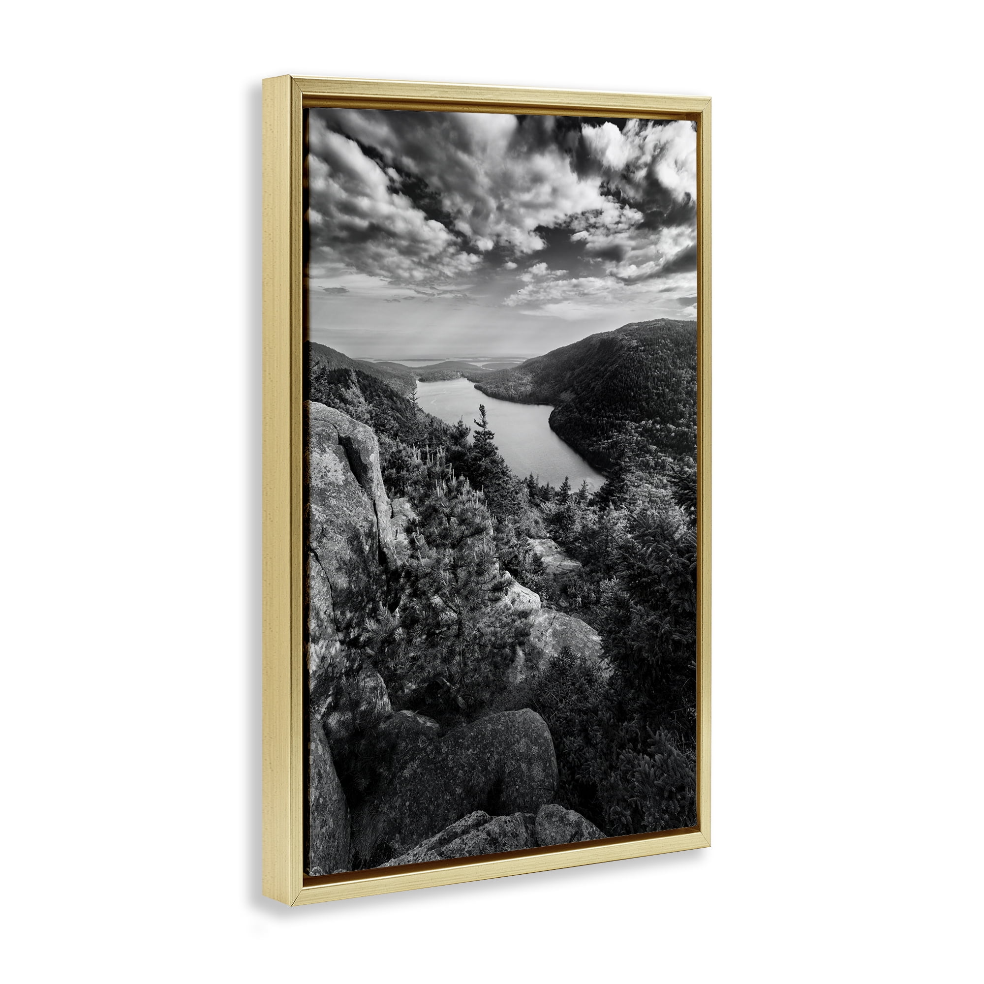 Stupell Industries Looking Over Cliffs Landscape Landscape & Nature Photography Gold Floater Framed Canvas Art Print Wall Art, 21 x 31