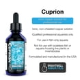thumbnail image 2 of Solución de cobre iónico Brightwell Aquatics Cuprion 2L, 2 of 2