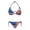 Abstract Impasto American Flag Pattern, variant on Binienty Avocado Pattern Two Piece Swimsuit, Professional Sutures Bathing Suit, Spandex Sexy Women Bikini Set Plus Size Design