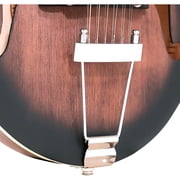Gold Tone F-12: 12-string F-style Mando-Guitar with Pickup and Case