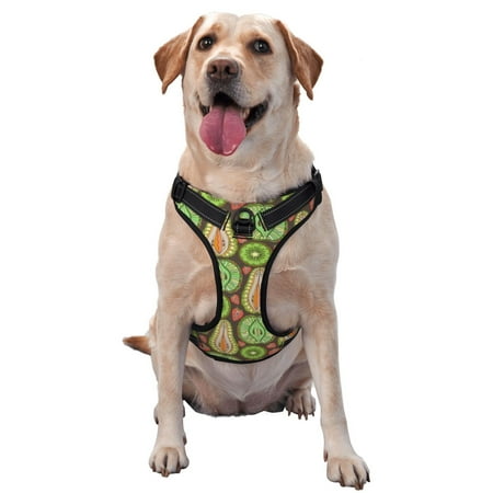 Bingfone Fruits 1 No Pull Dog Vest Harness for Small Medium Large Dogs Strap for Puppy Walking Training Dog Harness-Medium