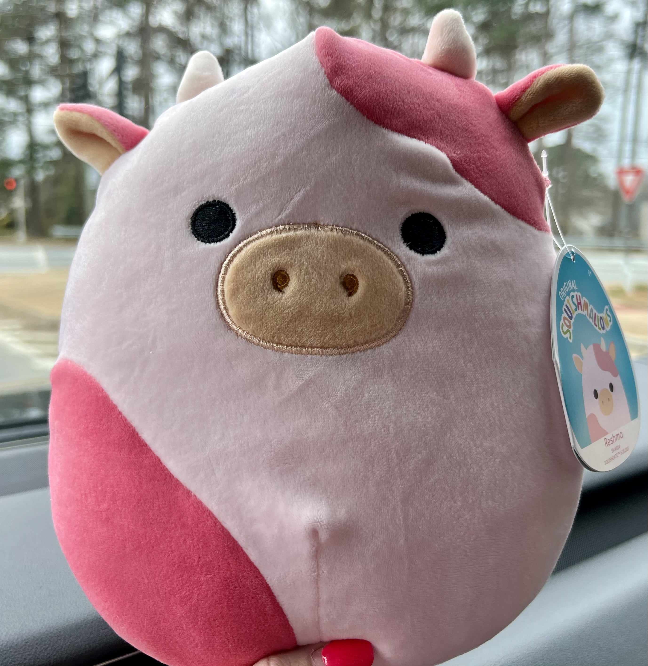 In Hand!! Squishmallow Hot Topic Exclusive 8" Reshma Pink Strawberry