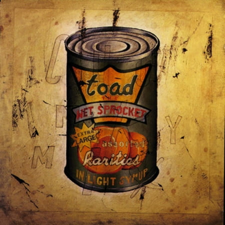 In Light Syrup (CD) (Best Of Toad The Wet Sprocket)