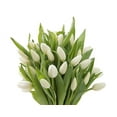thumbnail image 3 of KaBloom Fresh Cut Flowers: 20 White Tulips With Greens with Vase, Fragrant, Gift for all occasions, 3 of 5