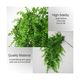 thumbnail image 2 of Set 10pzs Helechos Bloosom  Planta Artificial Colgante Boda Fiesta Pared Verde, 2 of 4
