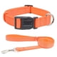 thumbnail image 1 of Collar para perros, collar básico avanzado para perros pequeños, medianos y grandes, tela de cinta ajustable,, 1 of 5
