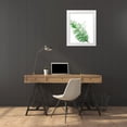 thumbnail image 3 of Pinto, Patricia 26x32 White Modern Wood Framed Museum Art Print Titled - Palm Frond III, 3 of 4