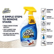 OxiClean Carpet and Area Rug Stain Remover Spray, 24 oz (2 Count)