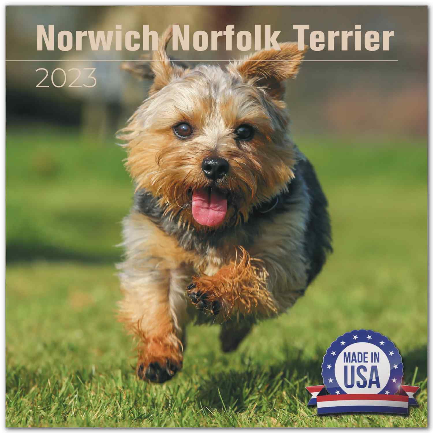 2022 2023 Norwich - Norfolk Calendar - Dog Breed Monthly Wall Calendar - Norwich - Norfolks Calendar - Thick No-Bleed Paper - Planner Calendar for Organizing & Planning - Made in USA