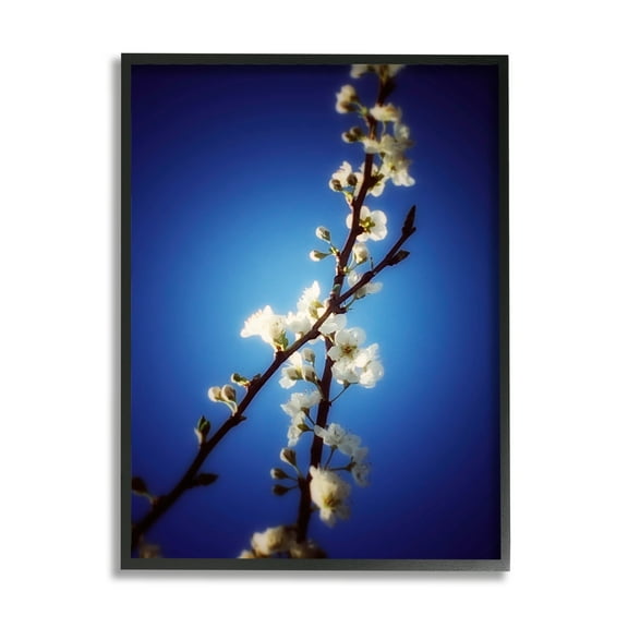 Stupell Industries White Tree Blossom Florals Over Deep Indigo Blue Botanical & Floral Painting Black Framed Art Print Wall Art, 11 x 14
