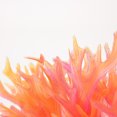 thumbnail image 3 of Methold Artificial pequeñas astas Coral simulación agua planta paisaje acuario decoración decoración del acuario, 3 of 3