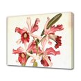 thumbnail image 1 of Póster de lienzo de orquídea, decoración de dormitorio, paisaje deportivo, decoración de oficina, regalo, estilo marco, 12 x 18 pulgadas (30 x 45 cm), 1 of 8