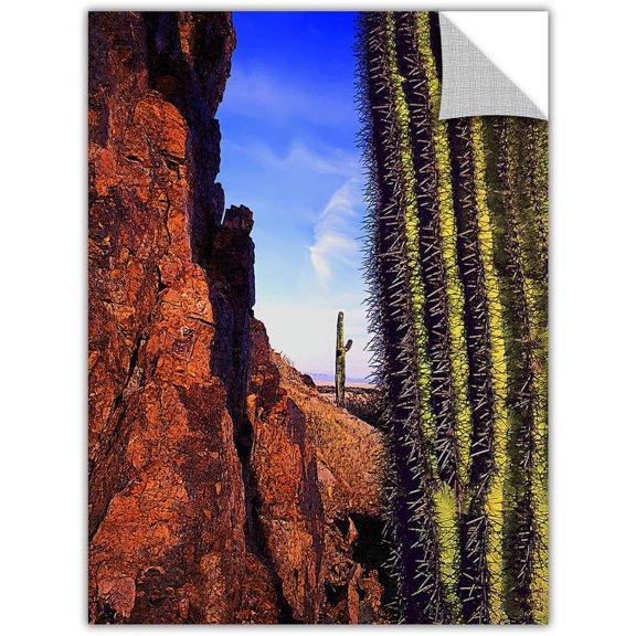 Dean Uhlinger "Painted Rocks Arizona" Removable Wall Art