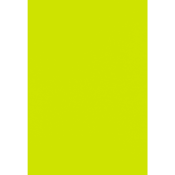 LUXPaper 13 x 19 Cardstock, 100lb Wasabi Green, 250/Pack