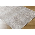 thumbnail image 3 of Livabliss x Our PNW Home Rainier Updated Traditional Washable Area Rug,8'10" x 12',Taupe, 3 of 11