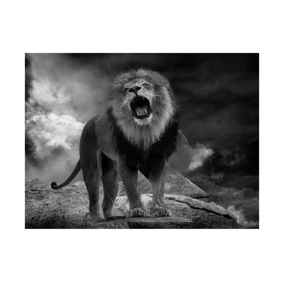 Trademark Fine Art Krystina Wisniowska Lions Roar Canvas Wall Art
