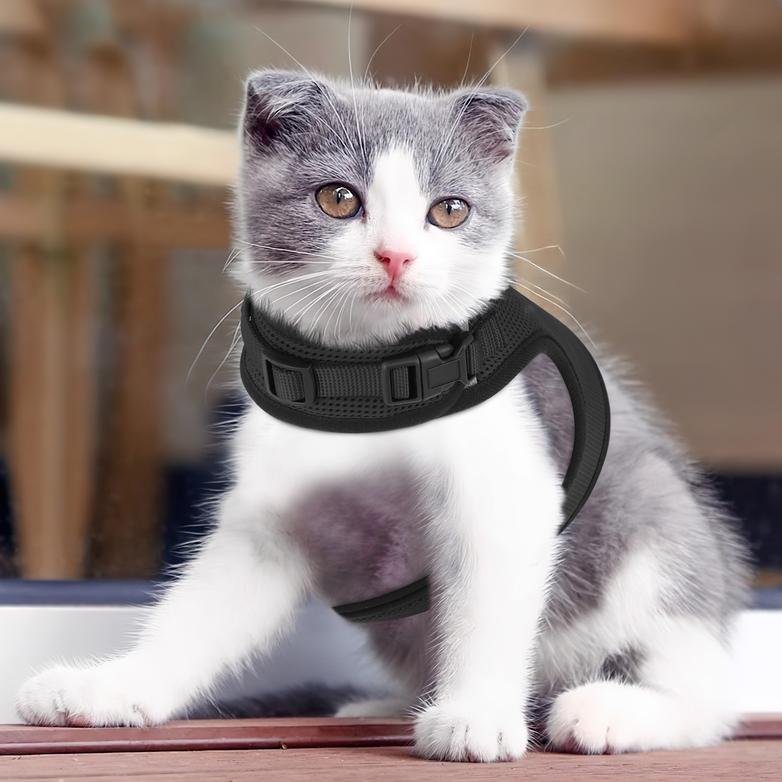 Small Kitten Harness Cat Harness Leash Set Escape Proof Adjustable Mesh - Brazil Cat Harness And Leash