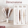 thumbnail image 2 of Natural Dried Pampas Grass Bouquet 60 pcs, 17.7" Tall Fluffy Boho Decor by EcoEarth, 2 of 9