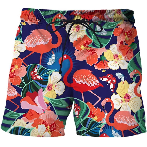Flamingo Graffiti Painting Shorts Pants Men Summer Beach Shorts 3d Printed y2k Swim Trunks Quick Dry Swimsuit Cool Ice Shorts Fivean unisex