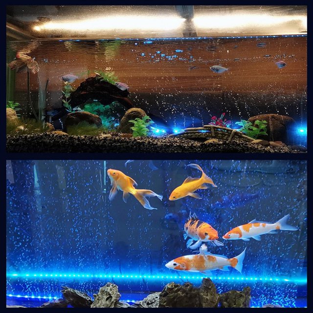 LAFGUR LED LED Aquarium Light, Multi-Purpose Fish Tank Light, Fish Fish Tank For Aquarium Aquarium Light