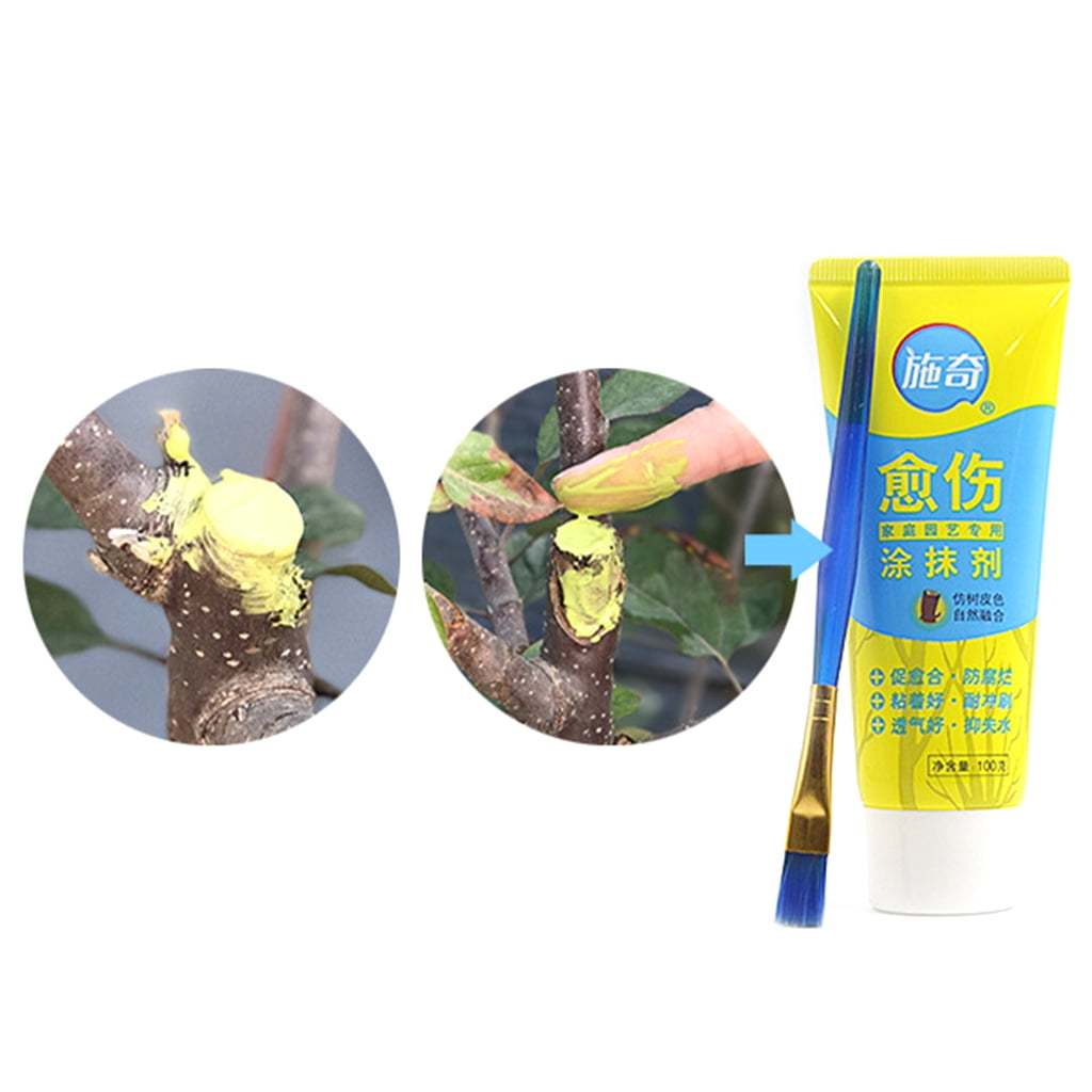 100g Tree Wound Bonsai Cut Paste Smear Agent Pruning Compound Sealer Brush NA 