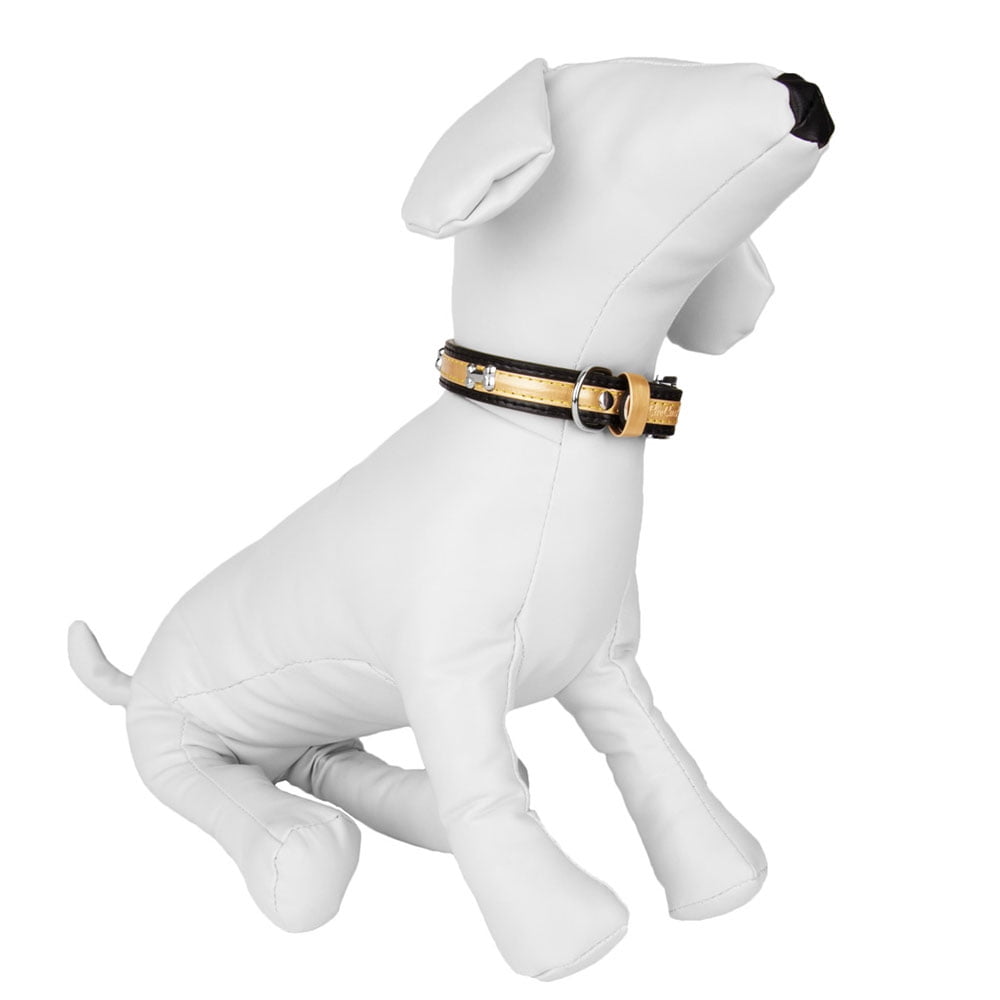 CueCue Pet Bone Fashion Dog Collar, Black, M (2 Pack)