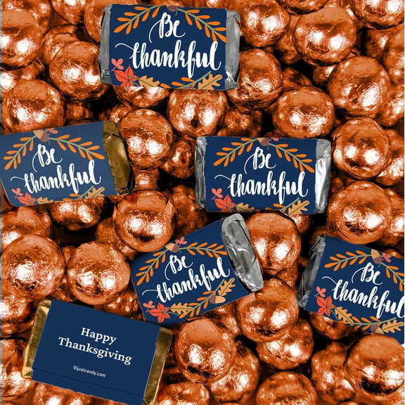 204 Pcs Fall Be Thankful Assorted Hershey's Miniatures and Gold Milk Chocolate Balls (3.24lb)