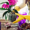 thumbnail image 2 of Schultz® Orchid Liquid Plant Food 15-5-5 150 g, 2 of 4