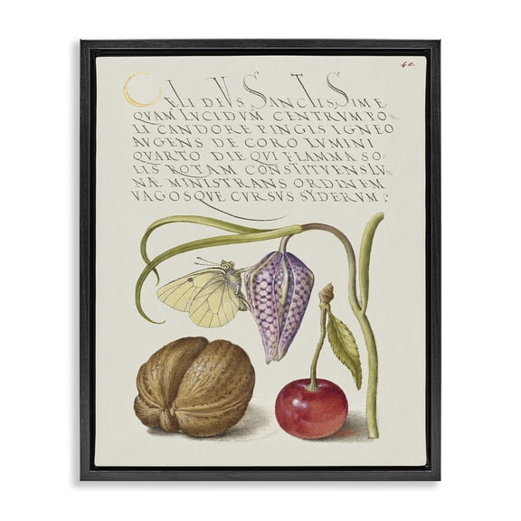 Stupell Industries French Country Woodland Flora Study Black Floating Frame Canvas Art, 17 x 21, by Melissa Wang