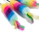 thumbnail image 3 of Rompecabezas De Gatos Cat Teaser Colorful Feather Wand Gatito Palo interactivo Juguetes para mascotas (47 cm) Wdftyju Libre de BPA, 3 of 3