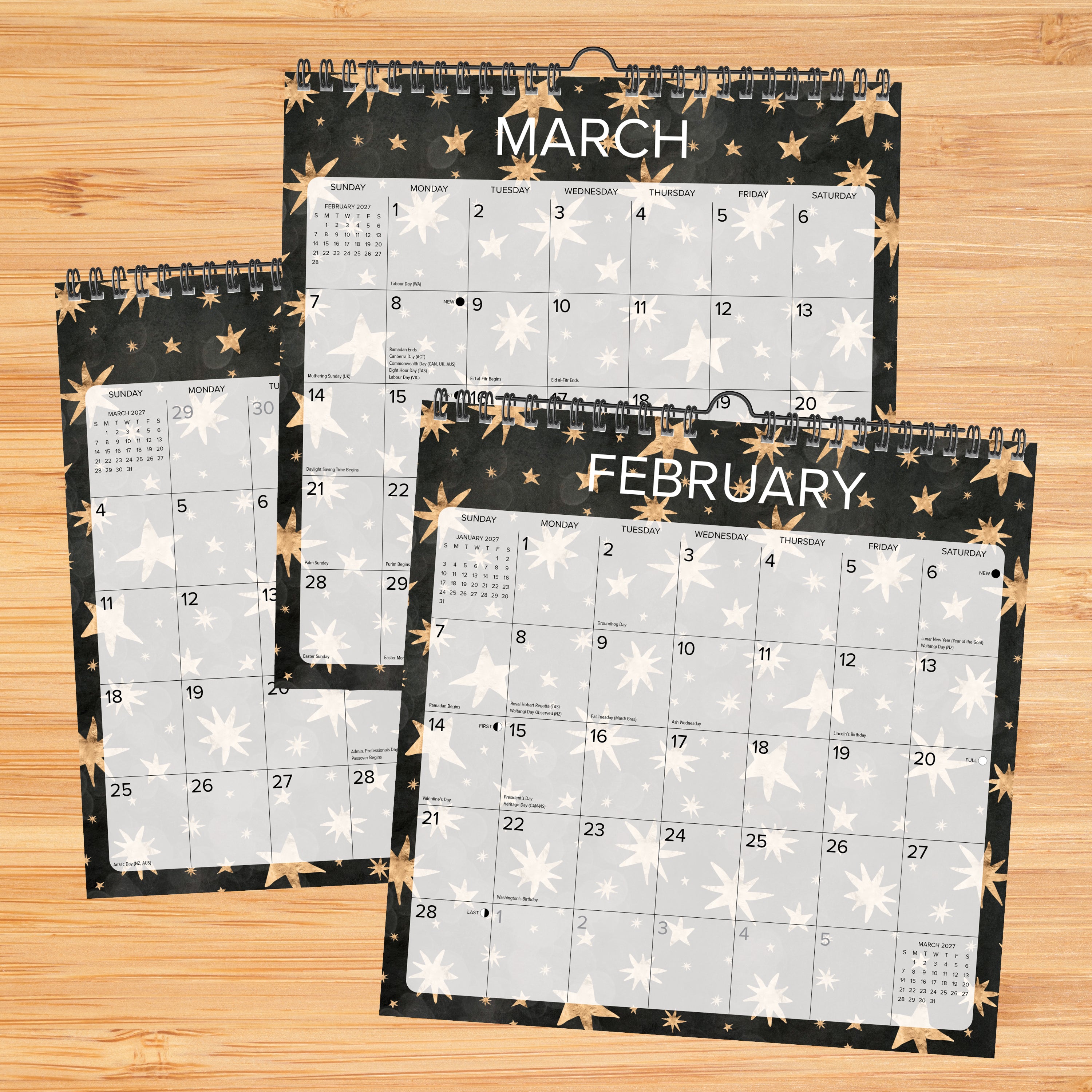 Willow Creek Press Starry Night 2027 12" x 12" Spiral Wall Calendar (65600)