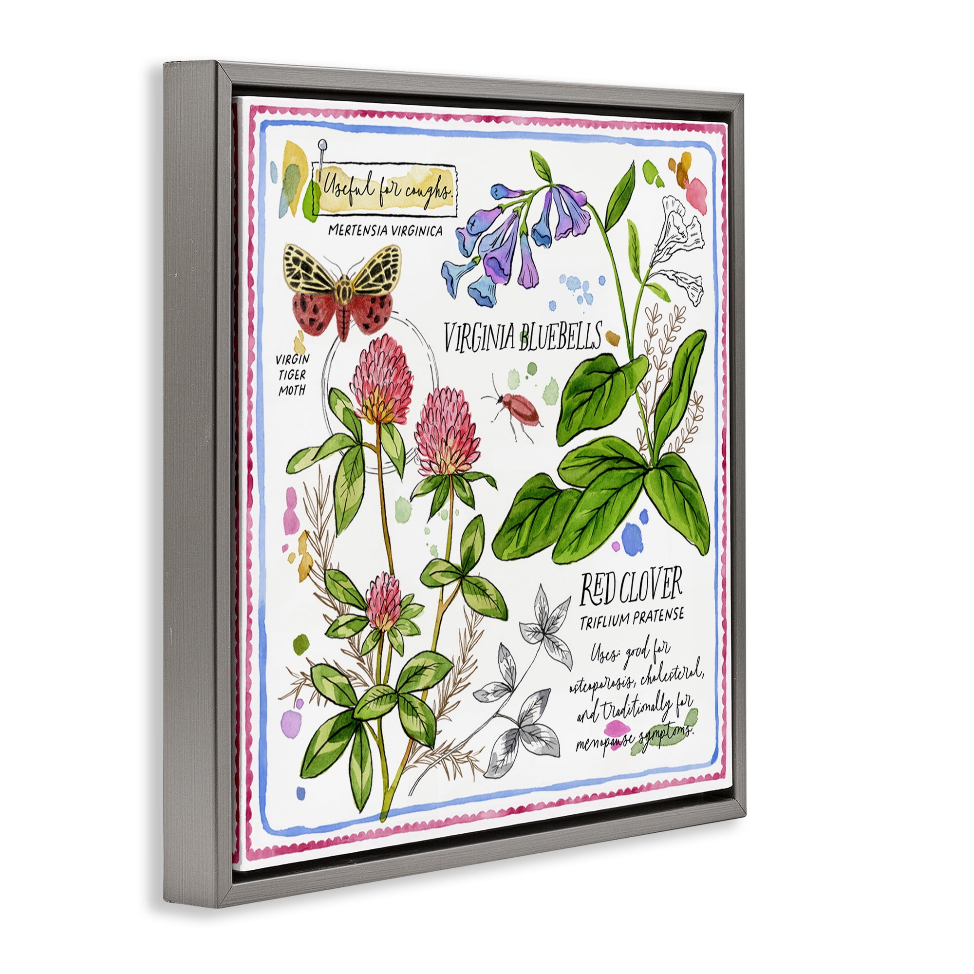 Stupell Industries Wild Herbs Diagram Plants & Flowers Painting Gray Floater Framed Canvas Art Print Wall Art, 18 x 18