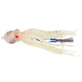 thumbnail image 1 of Aparejos de pesca Bling Bling Señuelos pulpo 5# luminoso, 1 of 12