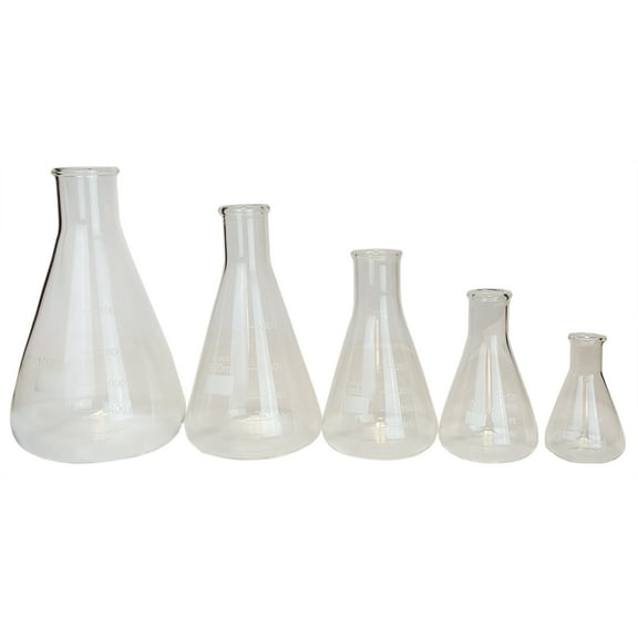 Erlenmeyer Flask with Standard Neck Set - 50ml, 125ml, 250ml, 500ml, and 1000ml by Go Science Crazy