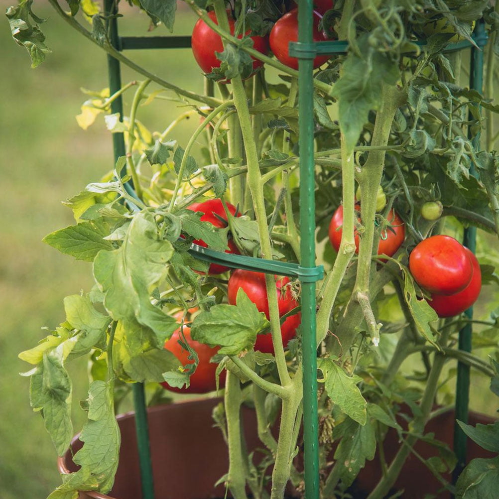 3 Pieces Pile Arm Tomato Cage Supports Garden Stakes Plants Indoor Tomatillo