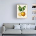 thumbnail image 3 of Studio W 'French Lemon III' Canvas Art, 3 of 4