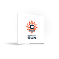 thumbnail image 4 of Gallery Pops WNBA Connecticut Sun - Global Logo Wall Art, Unframed Version, 12" x 12", 4 of 5