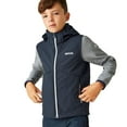 thumbnail image 4 of Regatta Boys/Girls Acidity II Body Warmer, 4 of 5