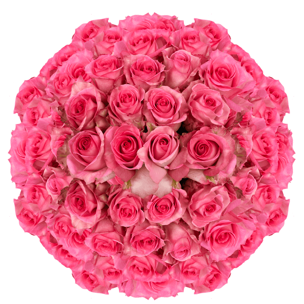 150 X Long Stems of Priceless Roses- Fresh Flower Delivery - Walmart ...