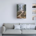 thumbnail image 2 of Trademark Fine Art Cora Niele Hiking Trail Canvas Wall Art - 30x47, 2 of 4