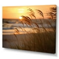 thumbnail image 2 of Designart "Sunrise Breeze on the Beach IX" Nautical & Beach Wall Art Print, 2 of 5