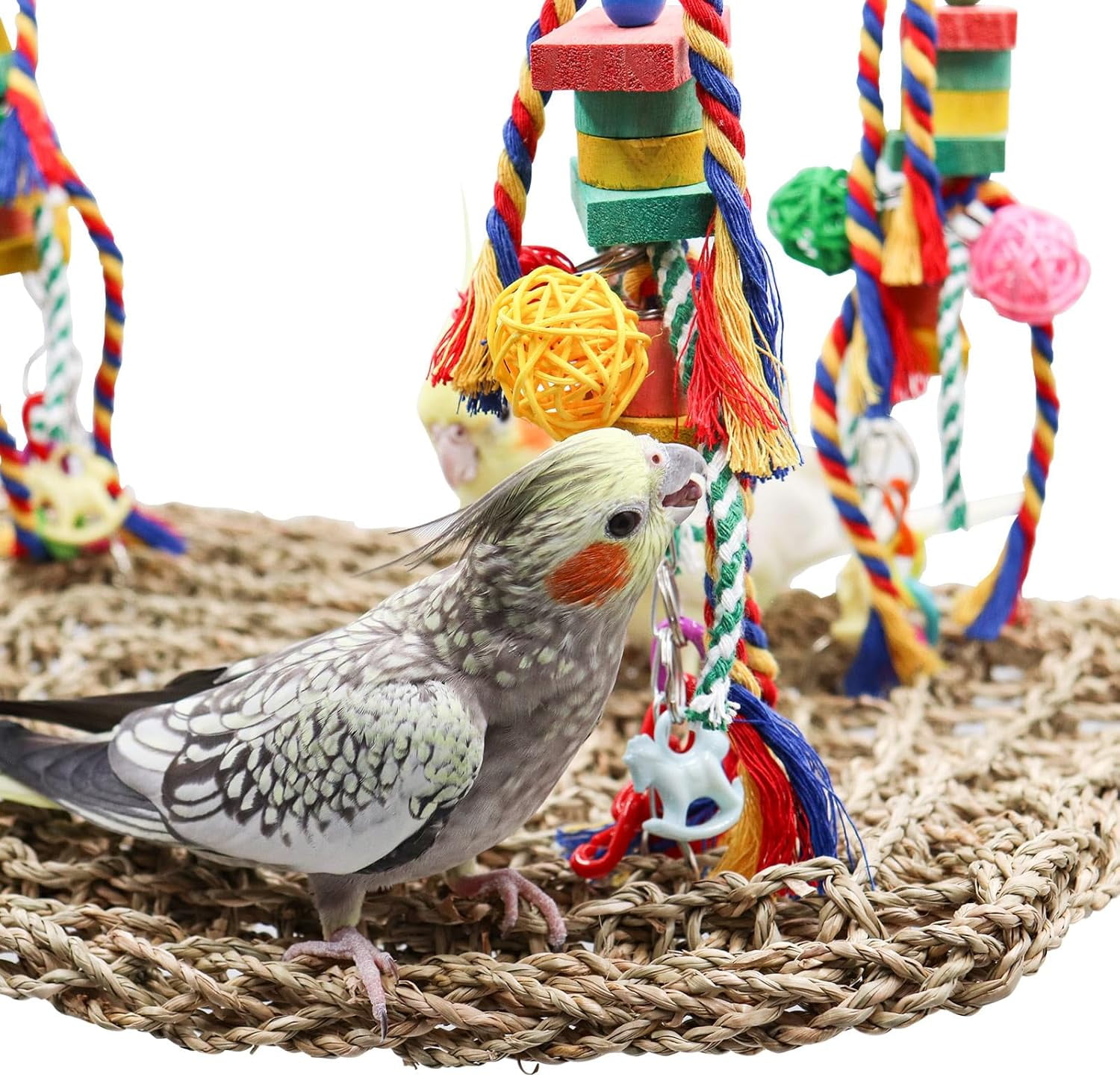 Bird Swing Toys, Colorful Parrot Seagrass Mat Hammock with Blocks, Foraging Toy, Cage Accessories for Small to Medium Birds