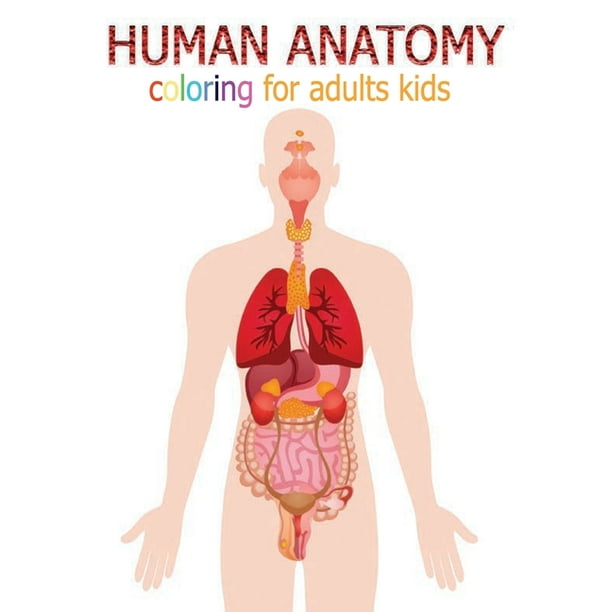 HUMAN ANATOMY coloring for adults kids: perfect book for medical and  nursing students The complete self test guide to learning anatomy and  physiology AND good gift for medical and nursing students kid -