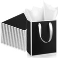 thumbnail image 1 of Yeaqee Paquete de 24 Bolsas de Regalo de Papel en Blanco y Negro 23x18x8 cm, 1 of 6