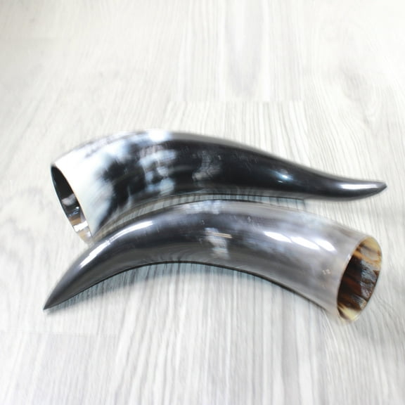 2 Polished Cow Horns #3953    Natural colored