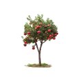 thumbnail image 3 of Adhesivos de pared Creative Pomegranate Tree Fresh Green PVC, 3 of 4